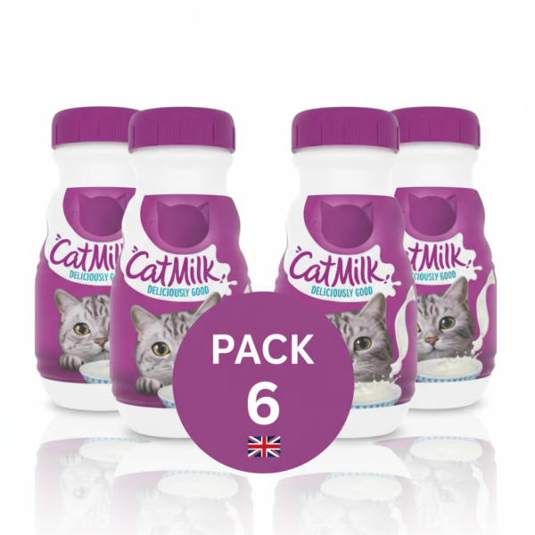 Lactose-free cat milk treat 200ml pack of 6 for kittens 6 weeks+ UK